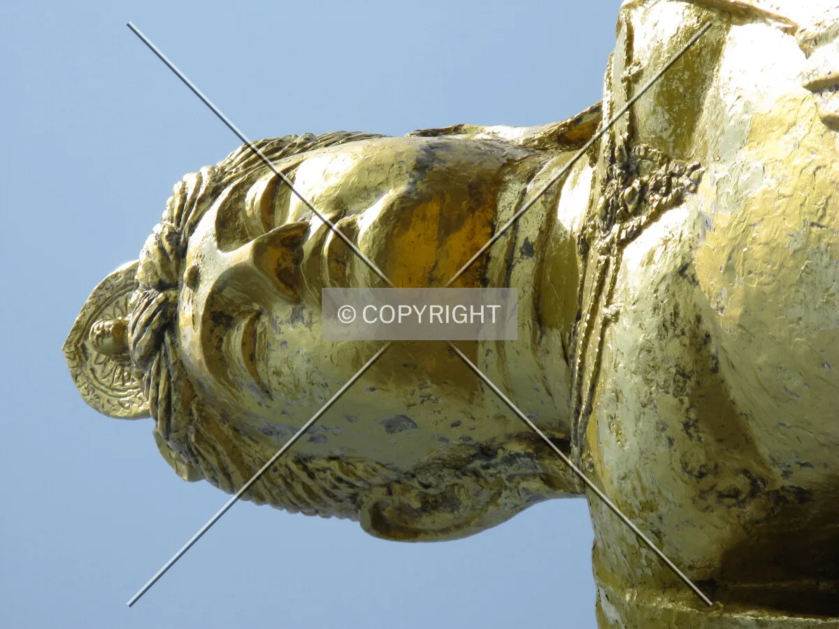 Photo 437-444-379