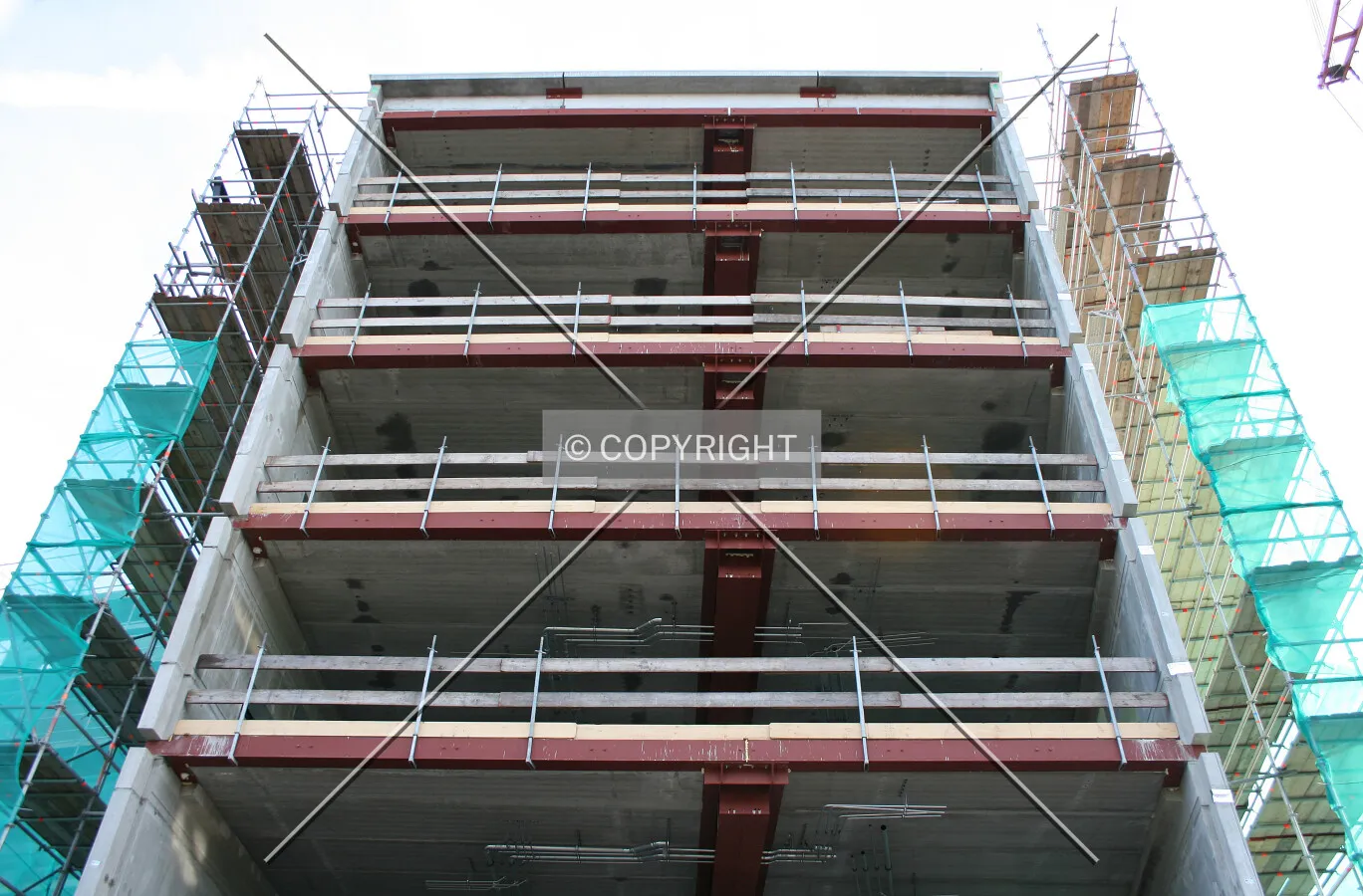 Looking up from Zwartewaterallee
