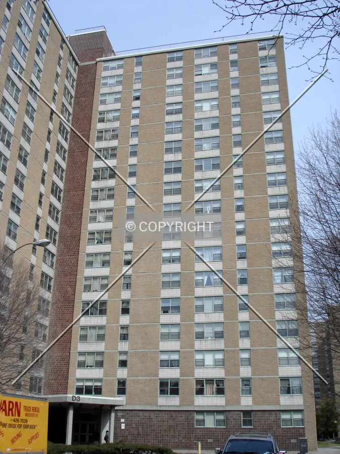 Looking up from Delmar