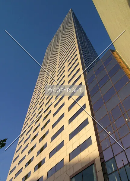 Photo 437-817-586