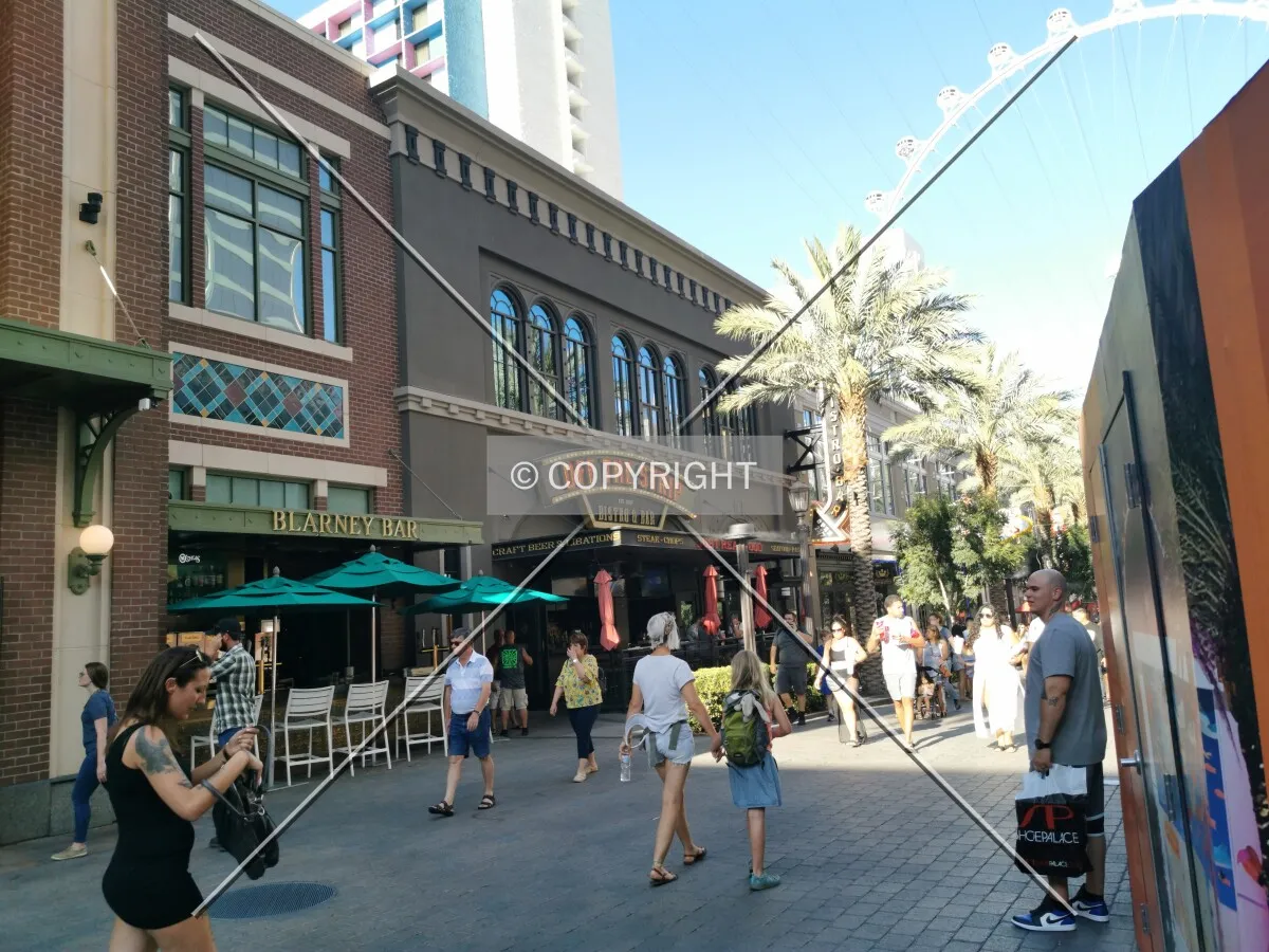 Photo 438-157-772