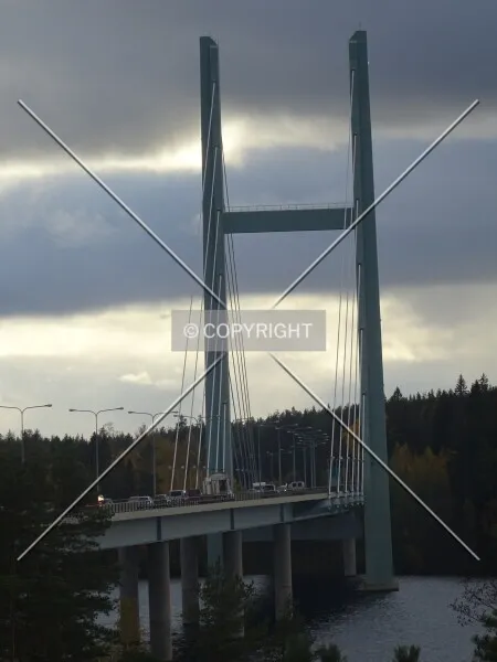 Photo 438-363-531