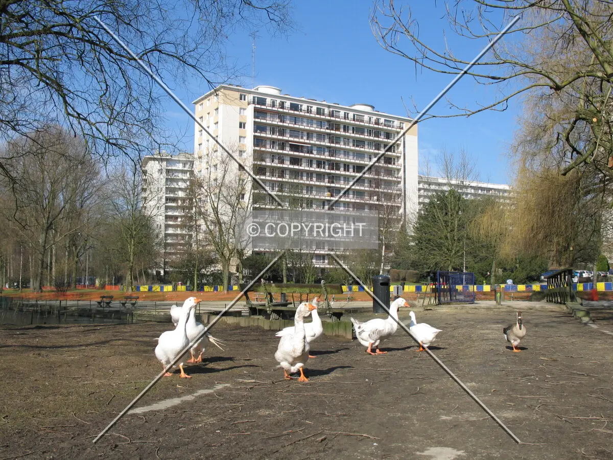 View from Vijverpark