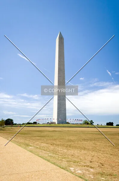 Photo 438-832-426