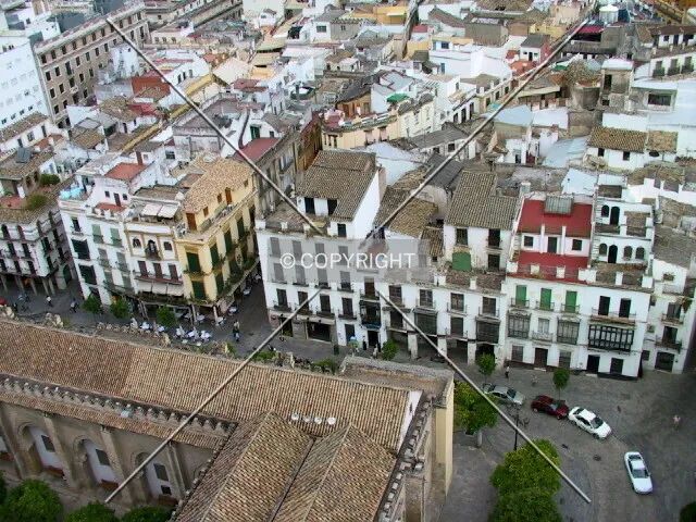 View from the Giralda