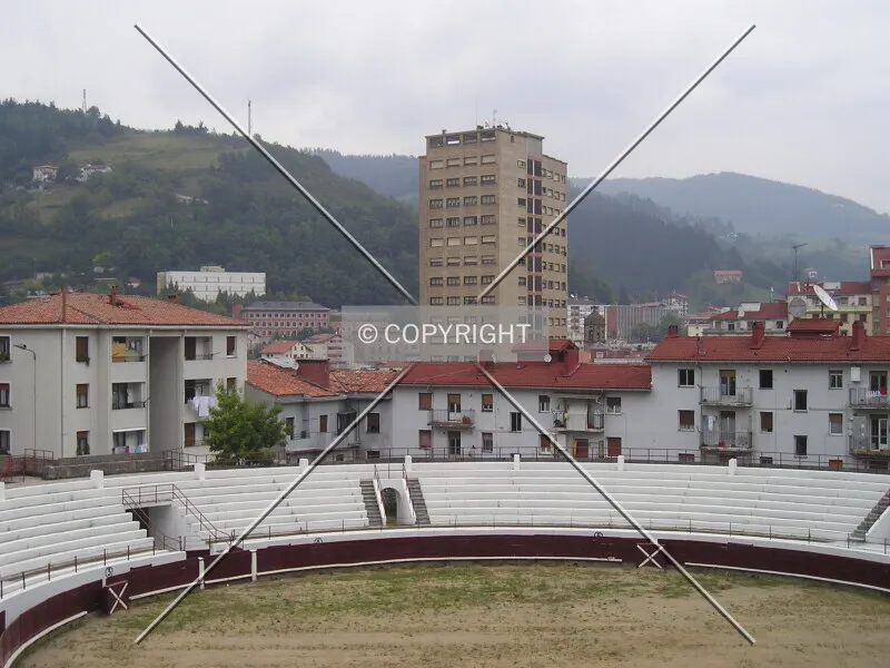 Photo 440-005-593