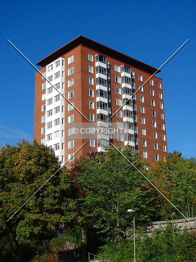 View from the southeast