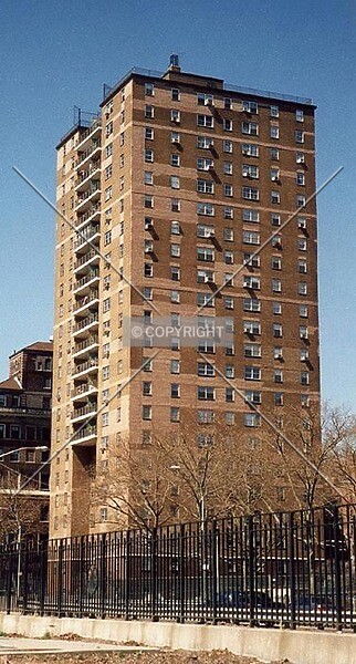 Photo 440-461-823