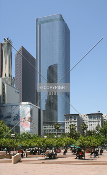 Photo 441-000-593