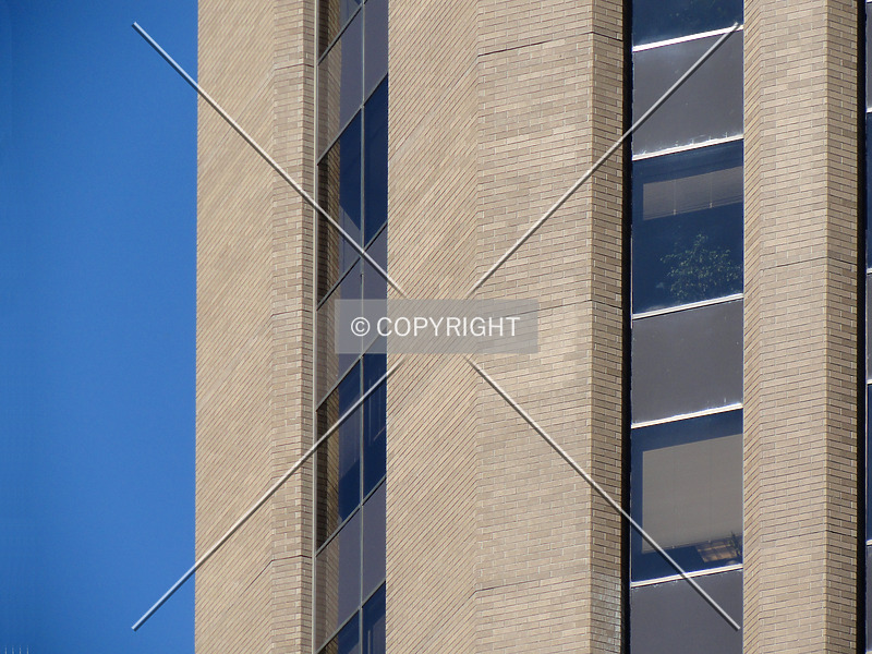Photo 441-319-661