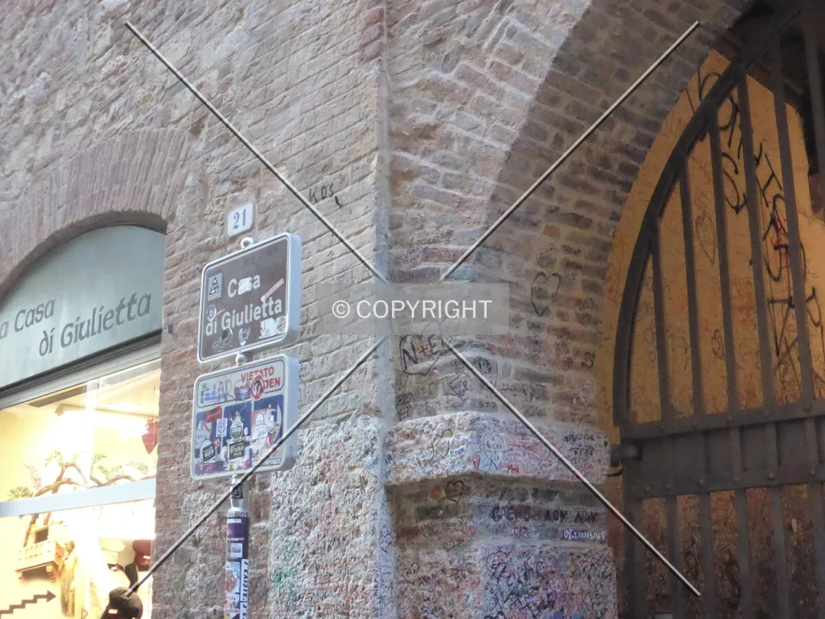 Photo 441-339-987