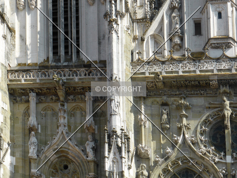 Photo 441-882-889