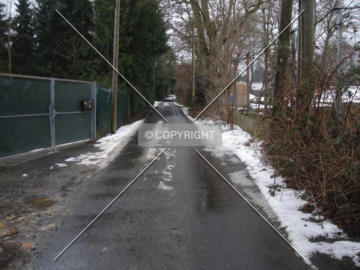Photo 442-012-413