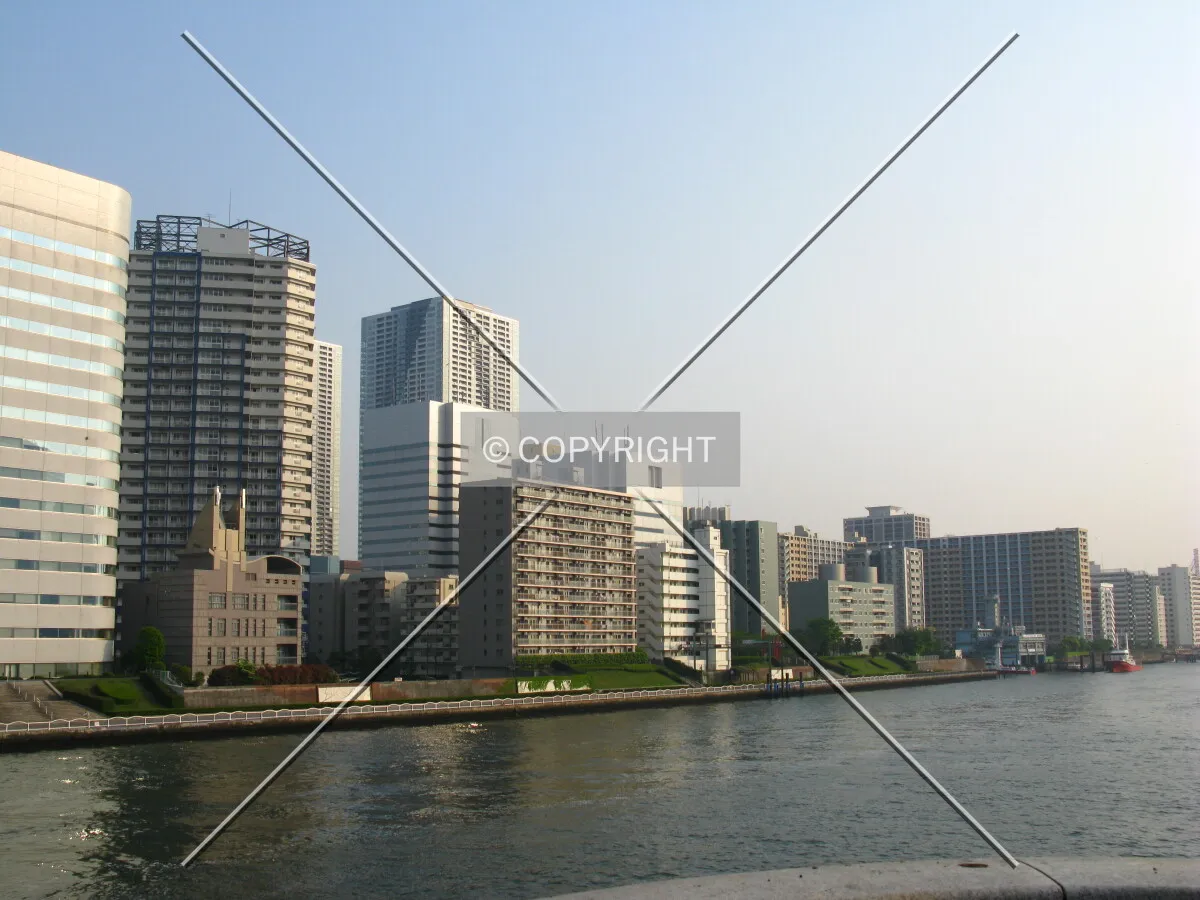 Photo 442-041-366