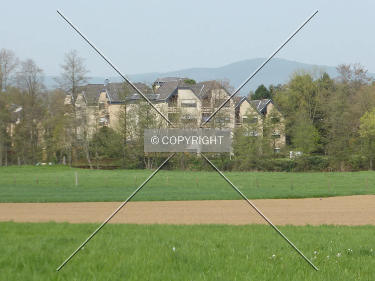 Photo 442-107-756