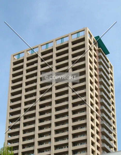 Photo 442-149-499