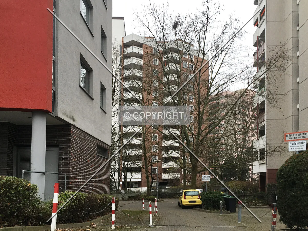 Photo 442-212-794