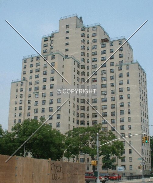 Photo 442-214-688