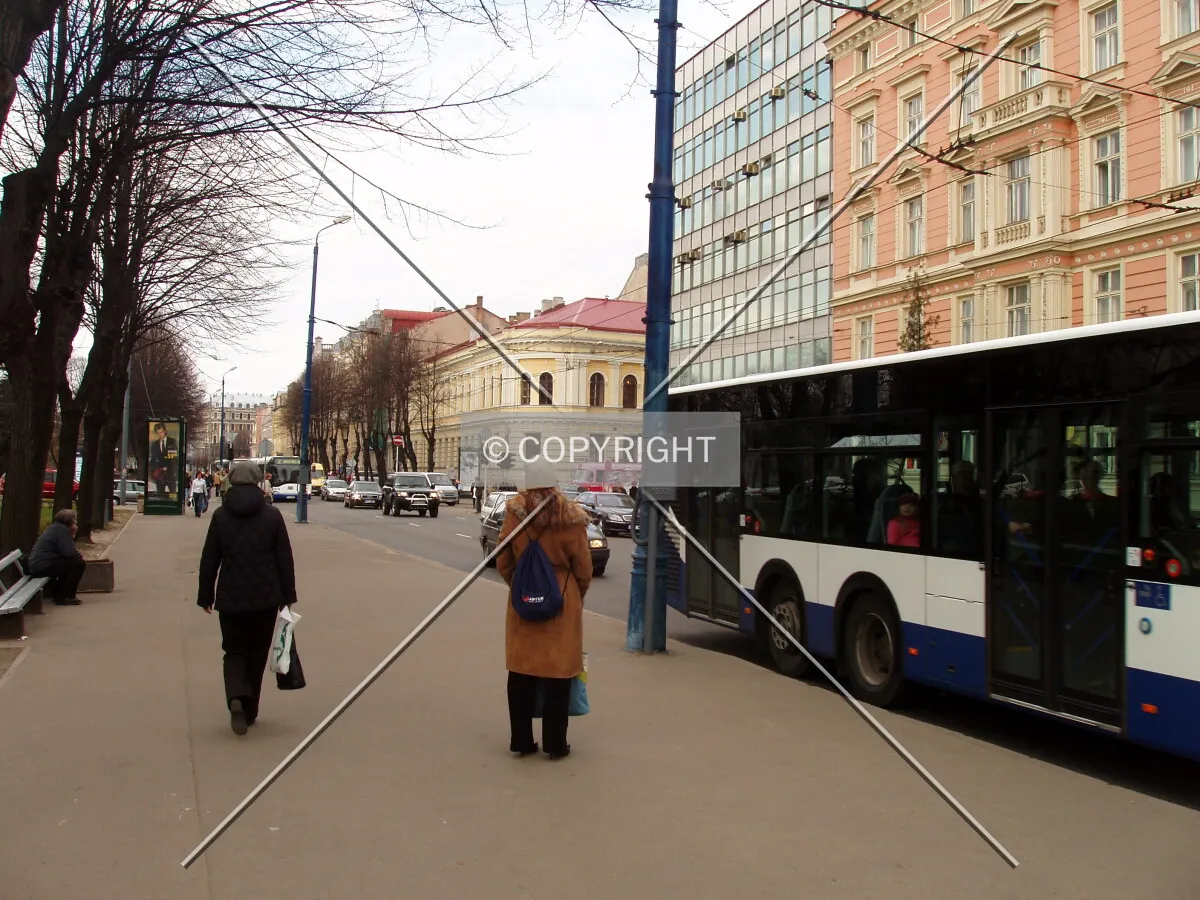 View along Raina boulevard