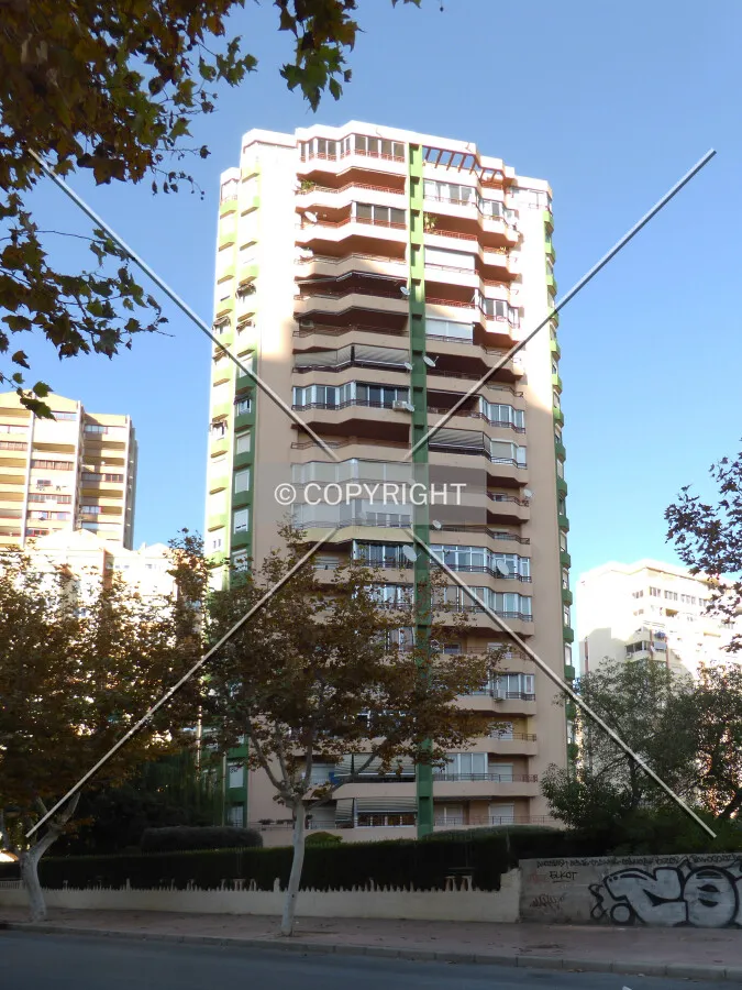Photo 442-228-865