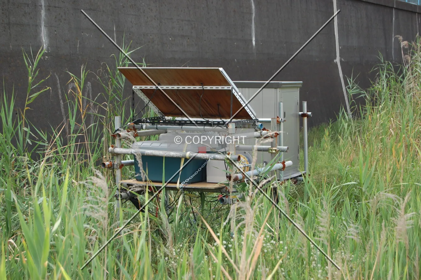 Photo 442-248-745