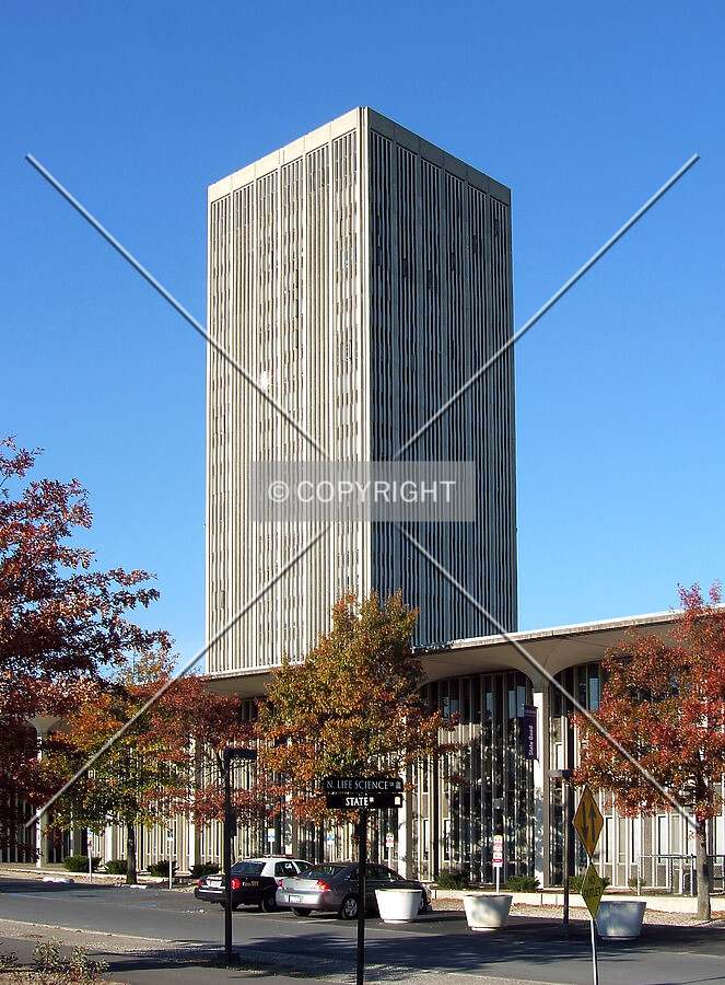 View from the south
