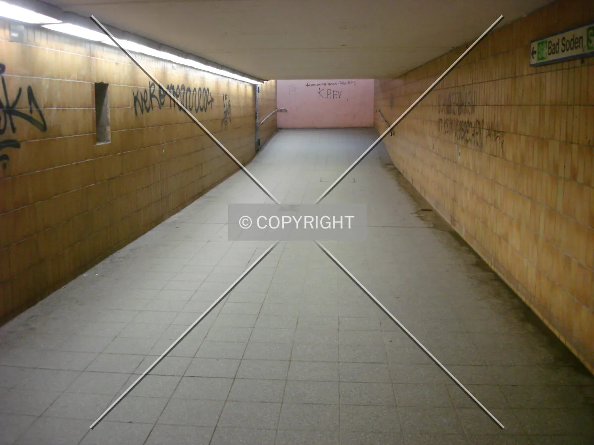 Photo 442-287-440