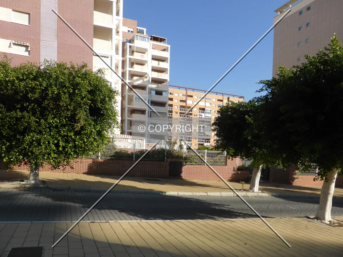 Photo 442-669-839