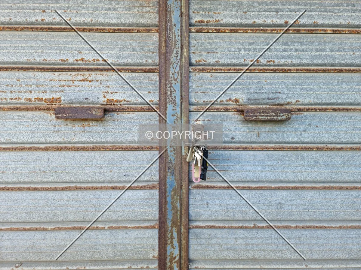 Photo 442-671-081