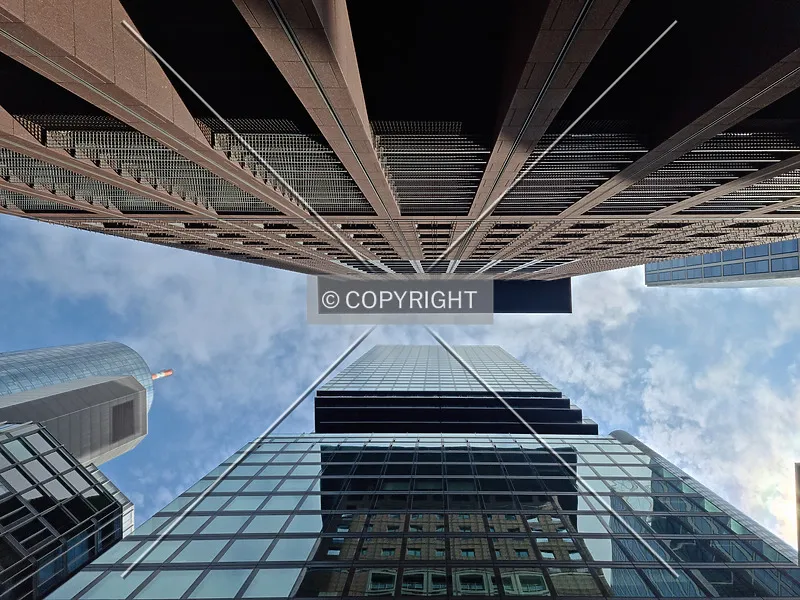 Photo 442-739-244