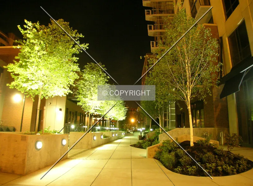 Photo 442-768-285
