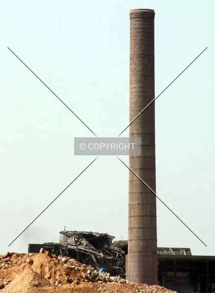 Photo 442-977-822