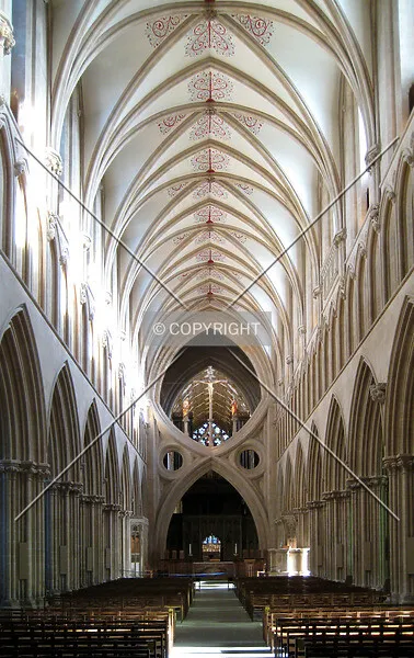 Photo 443-149-937