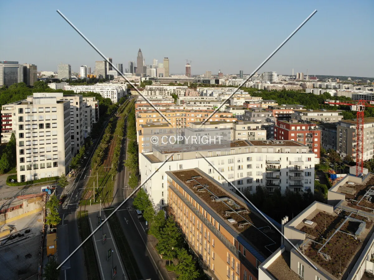 The Rebstock area from above