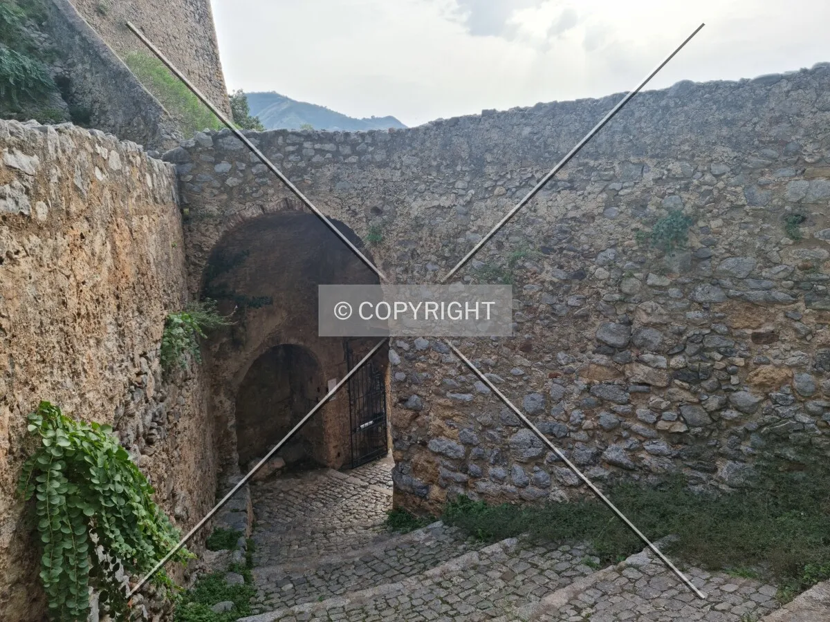 Photo 000-443-322