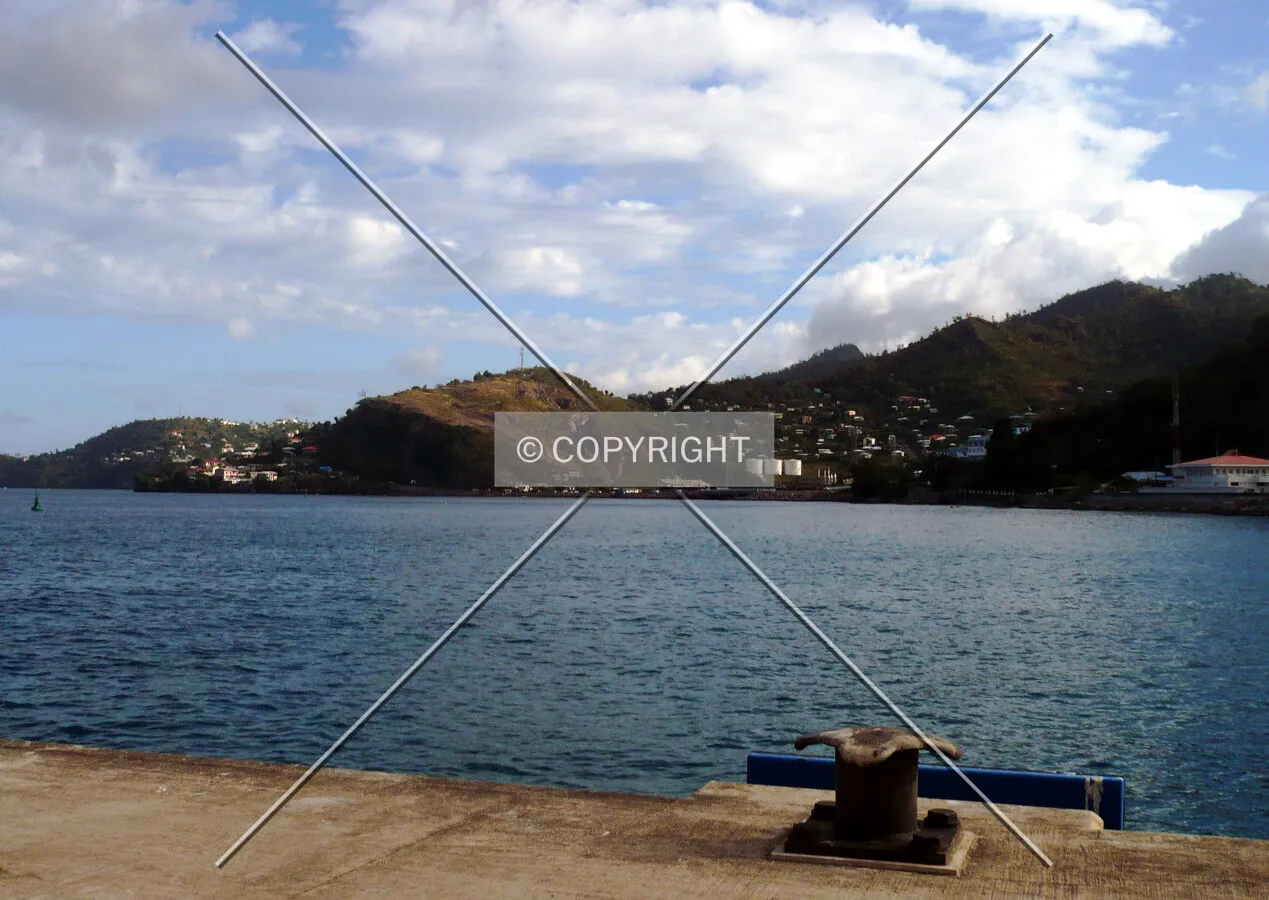 View from the harbour