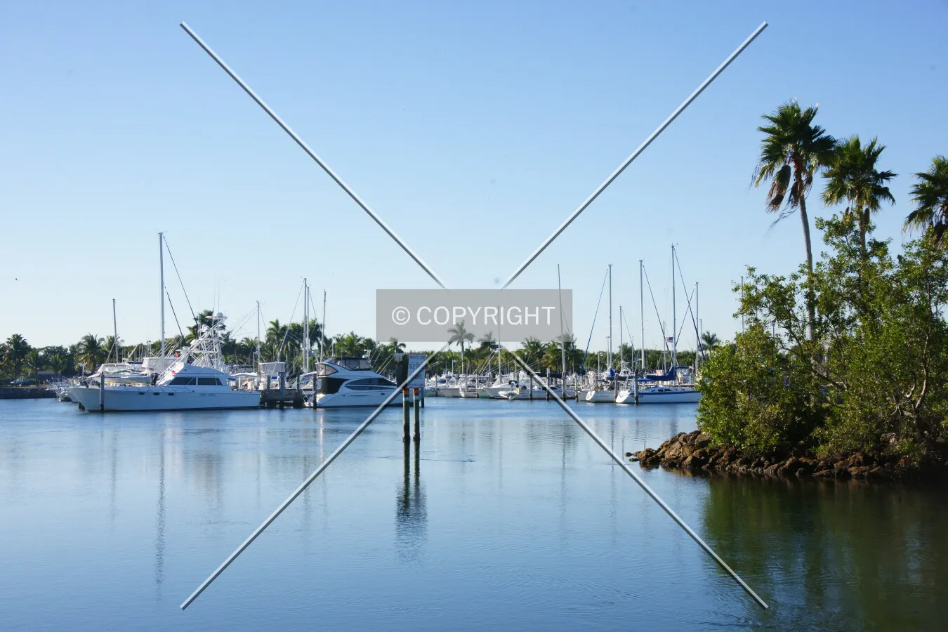 Photo 443-921-263