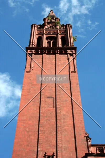 Photo 444-206-638