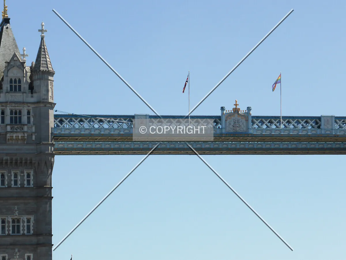 Photo 444-229-366