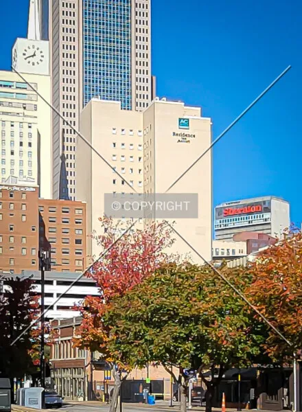 Photo 444-273-725