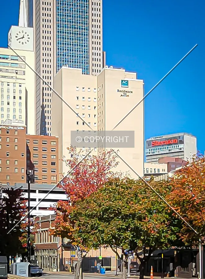 From the south; November 18, 2021