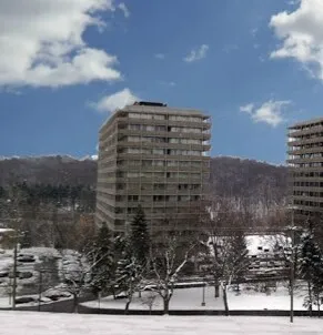North view