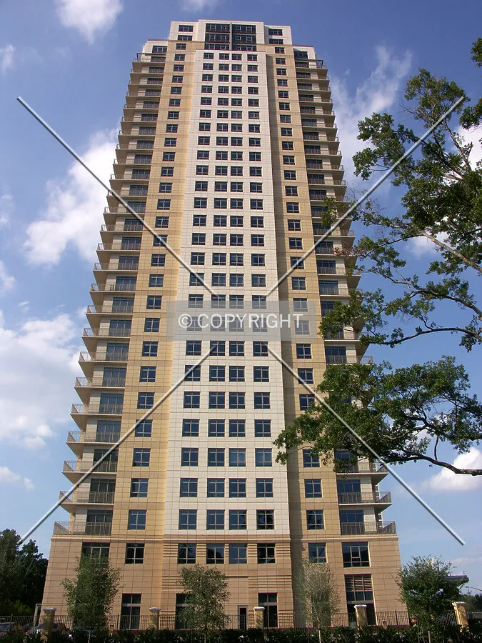 View from the south