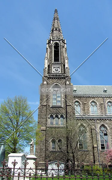 Photo 445-100-802