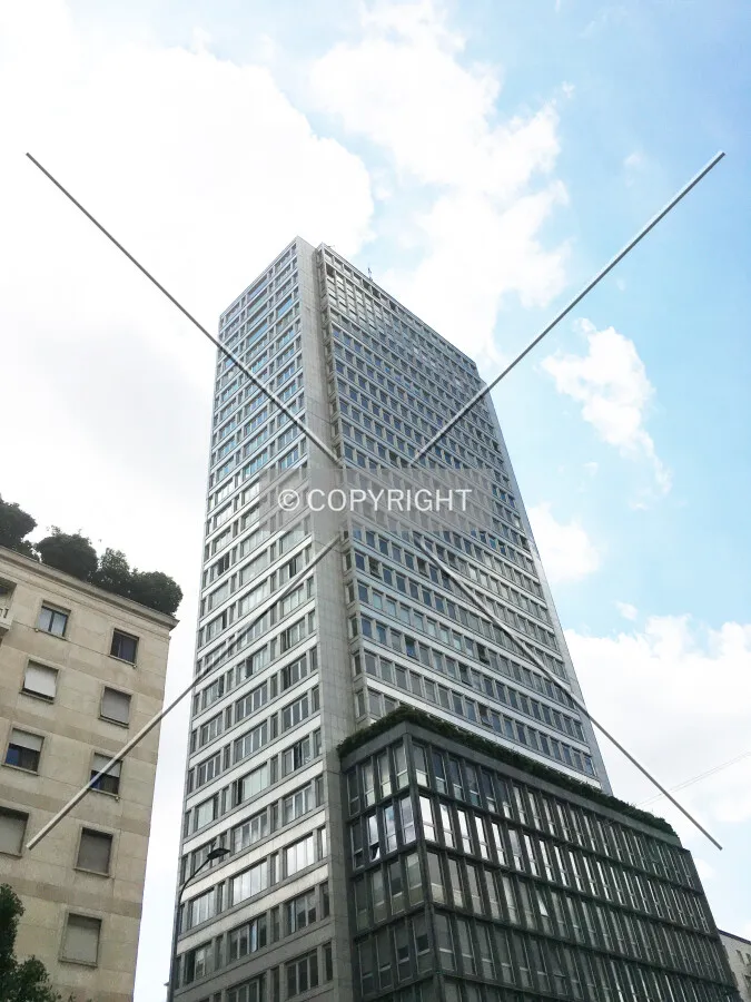 Photo 445-101-942
