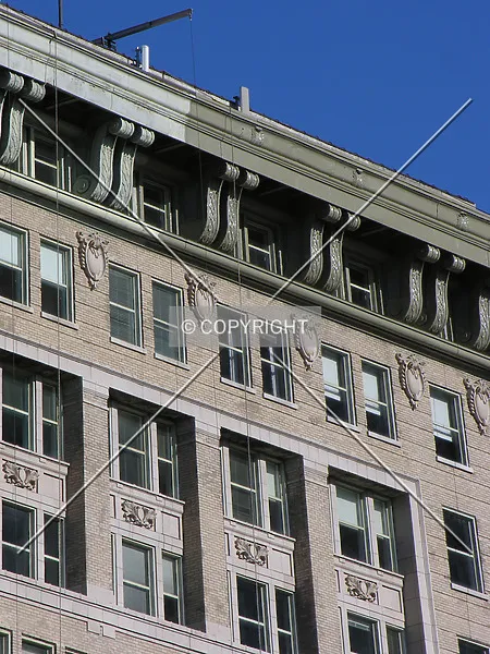 Photo 445-135-258