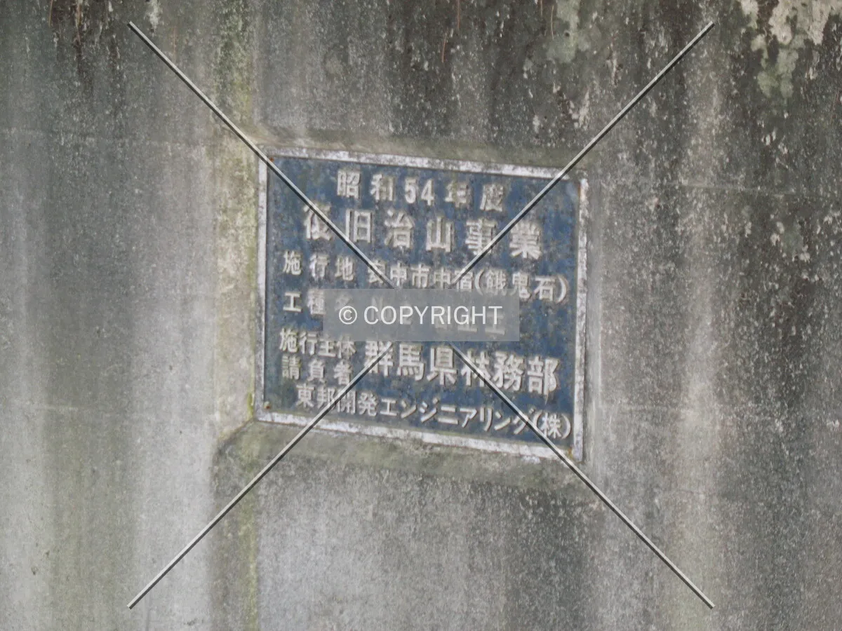 Photo 445-377-066