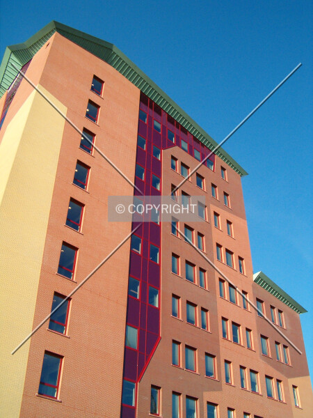 Photo 445-378-629