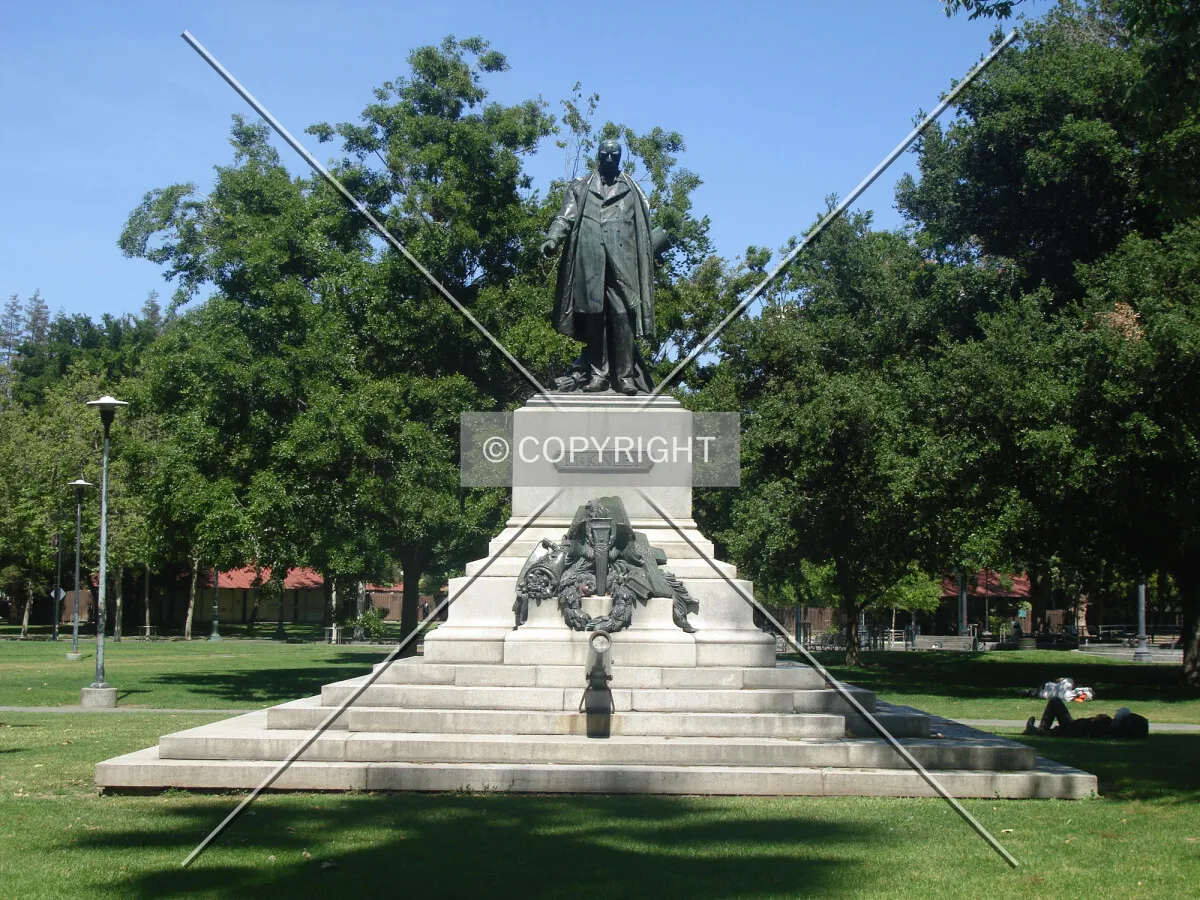 Photo 445-394-289