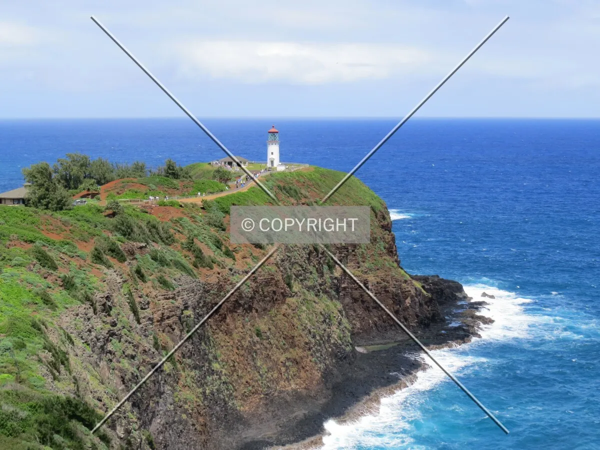 View of Kilauea Point from the Kilauea Point Overlook